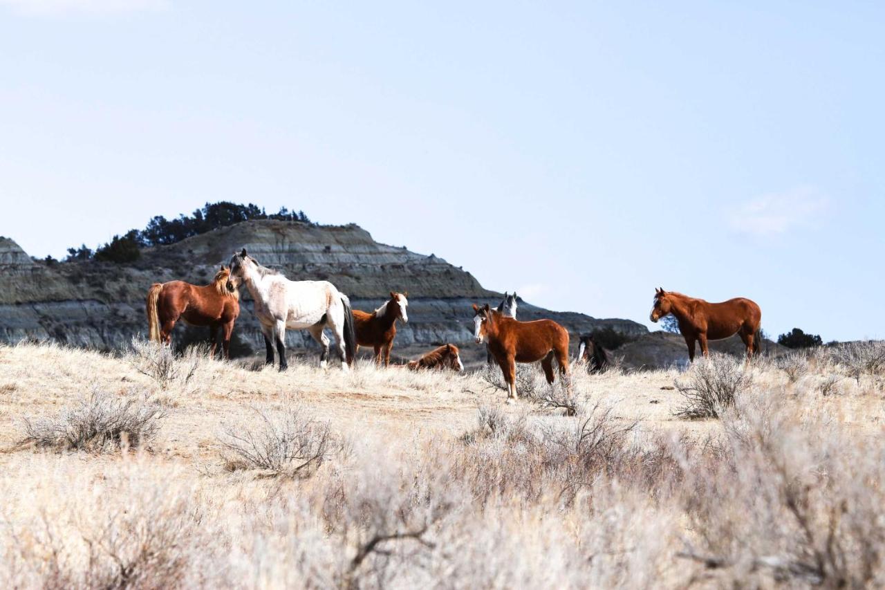 Badlands Suite Less Than 1 Mi To Teddy Roosevelt Park! Медора Екстер'єр фото
