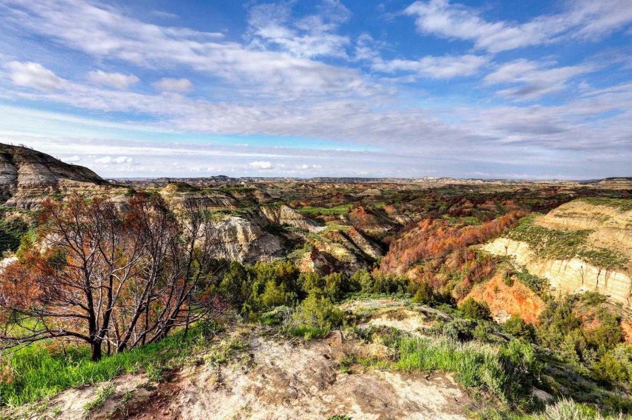 Badlands Suite Less Than 1 Mi To Teddy Roosevelt Park! Медора Екстер'єр фото