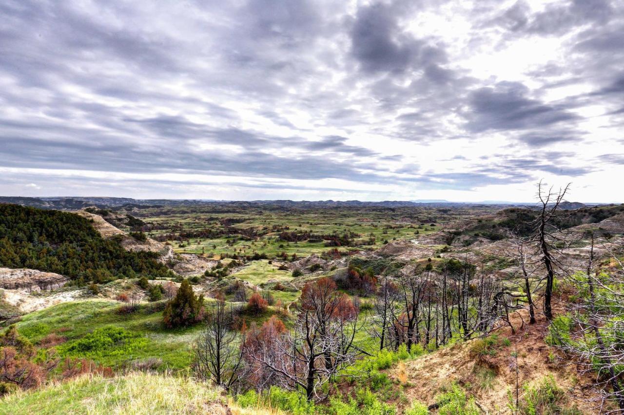 Badlands Suite Less Than 1 Mi To Teddy Roosevelt Park! Медора Екстер'єр фото